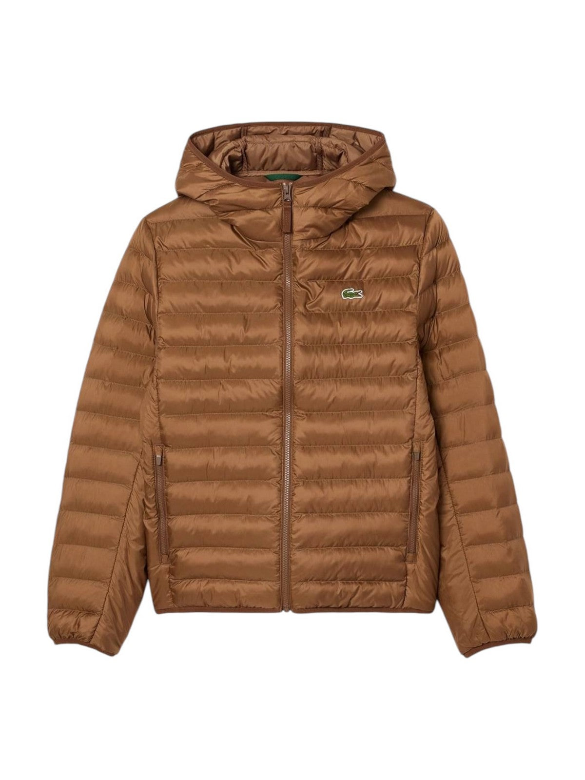 LACOSTE Piumino Uomo BH2909 SIX Marrone gioboutiqueweb
