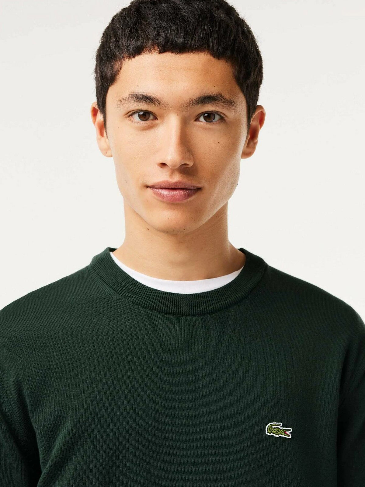 LACOSTE Maglione Uomo AH3225 YZP Verde