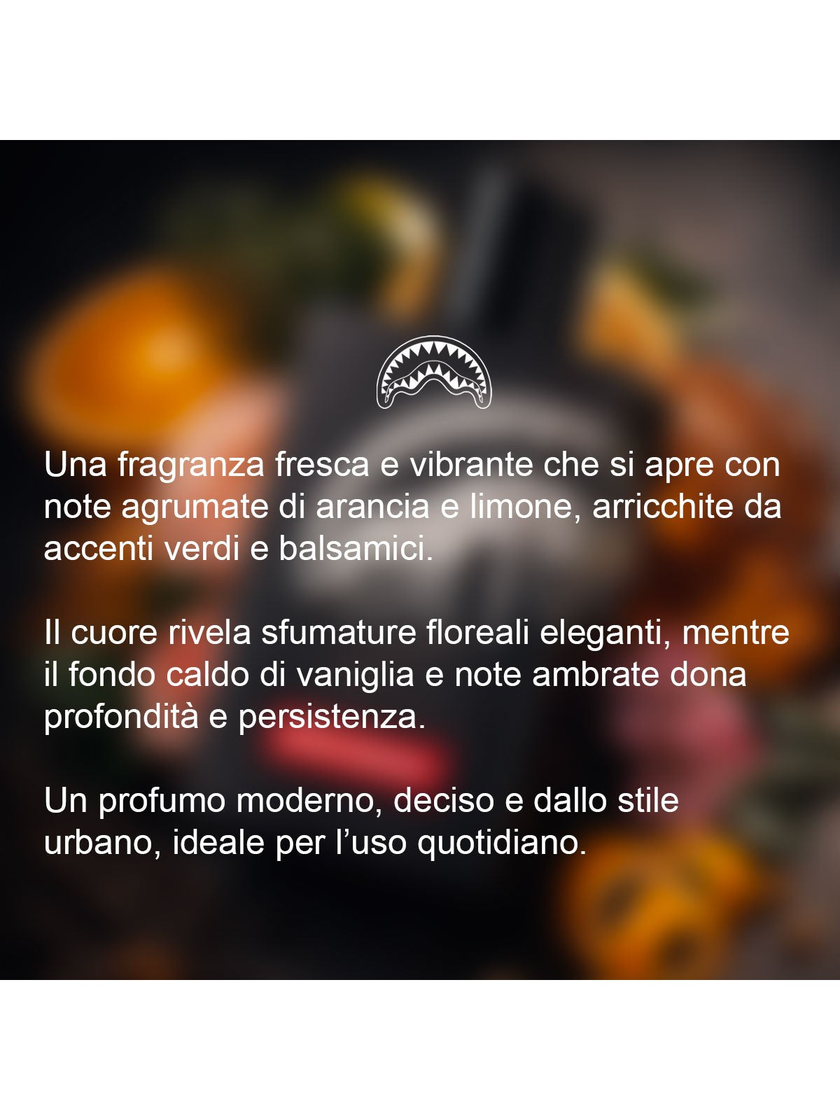 SPRAYGROUND Profumo Uomo BLACK CHECK FRAGRANCE EAU01BLACK