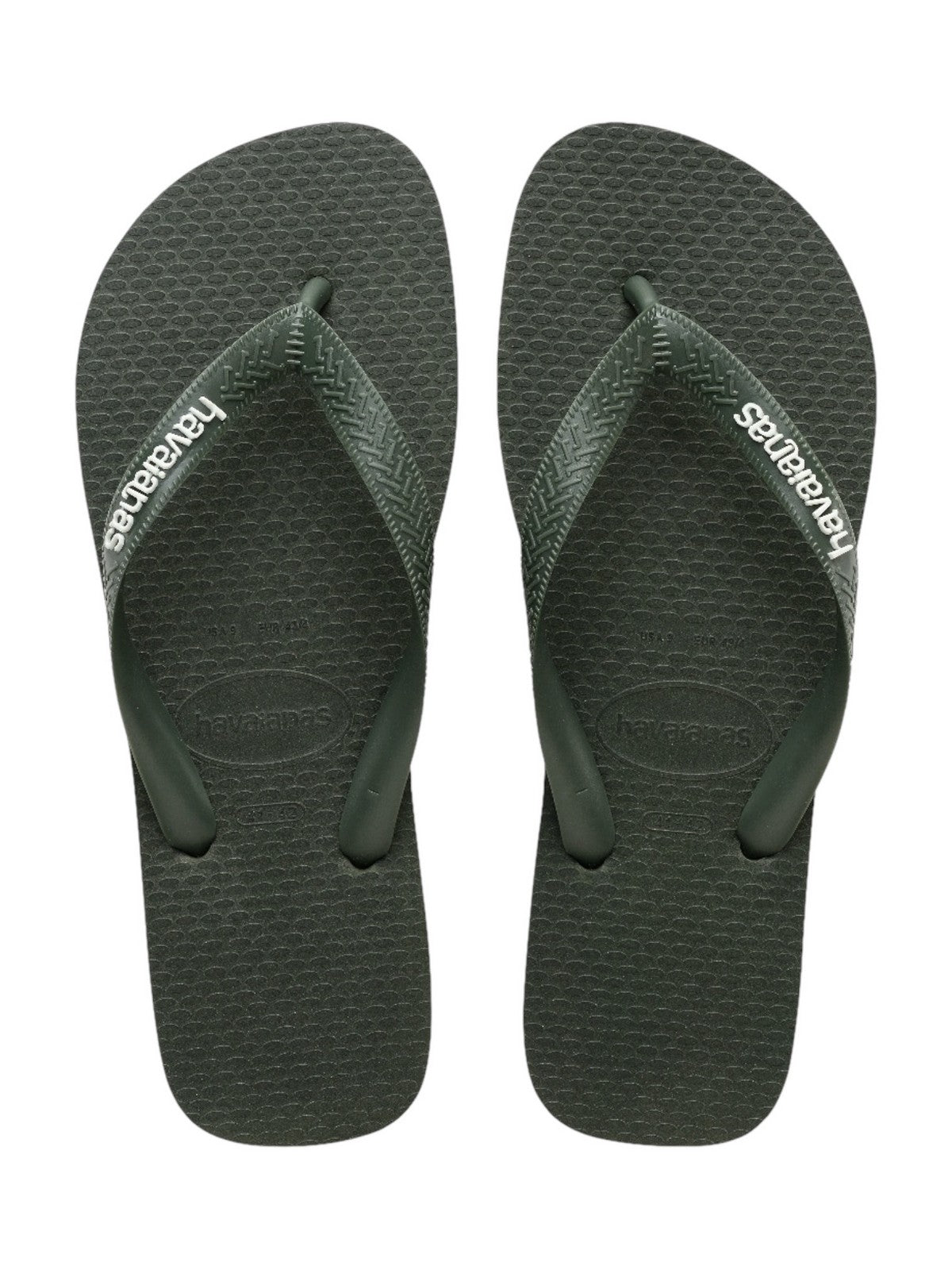 HAVAIANAS Infradito Uomo Hav. Top rubber Logo filette 4148756.4896 Verde gioboutiqueweb