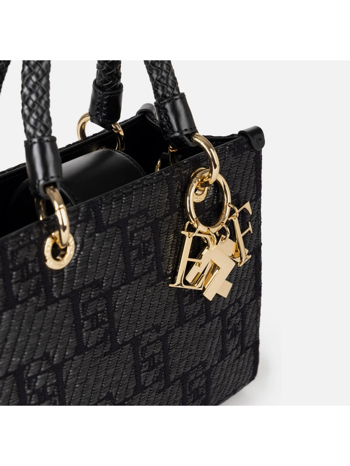 ELISABETTA FRANCHI BS27A42E2 110 Schwarz