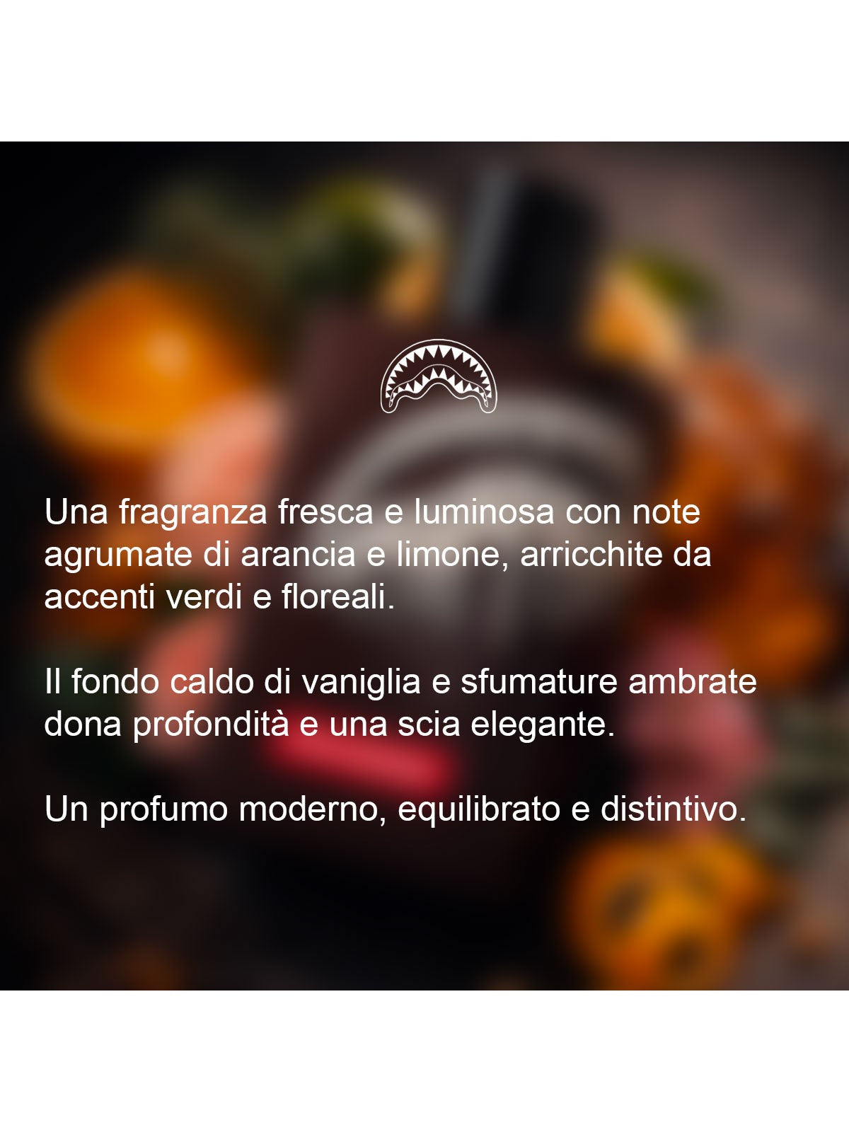 SPRAYGROUND Profumo Uomo BLACK CHECK FRAGRANCE EAU02BROWN