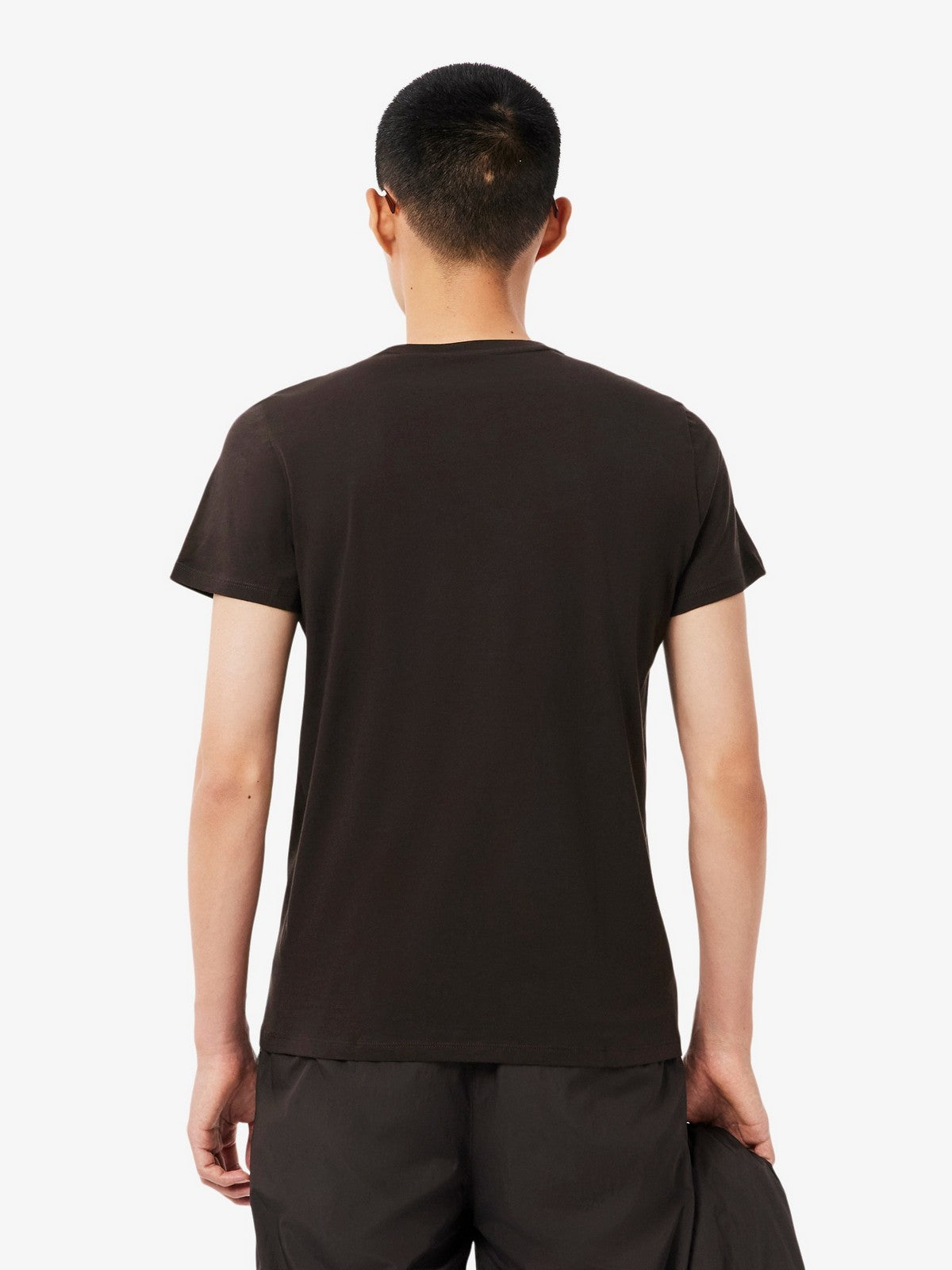LACOSTE T-shirt Uomo TH6709 SKB Marrone
