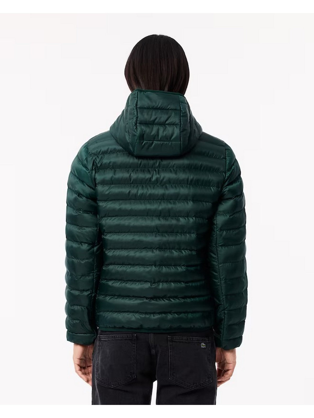 LACOSTE Piumino Uomo BH2909 YZP Verde gioboutiqueweb