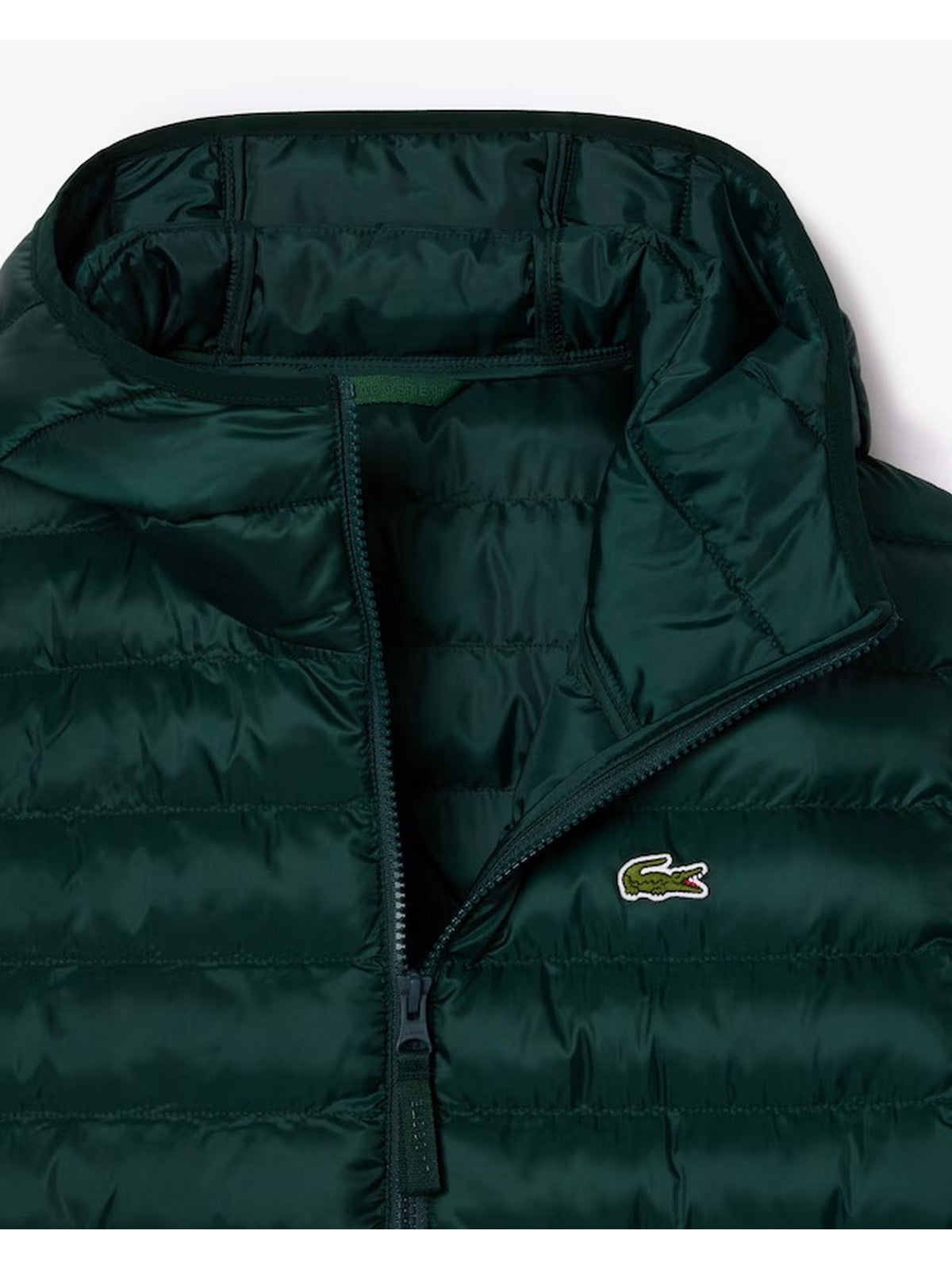 LACOSTE Piumino Uomo BH2909 YZP Verde gioboutiqueweb