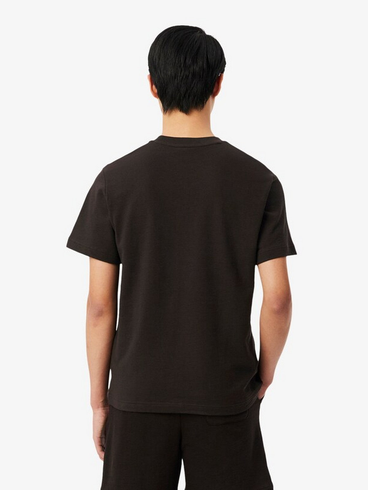 LACOSTE T-shirt Uomo TH1979 3LA Marrone