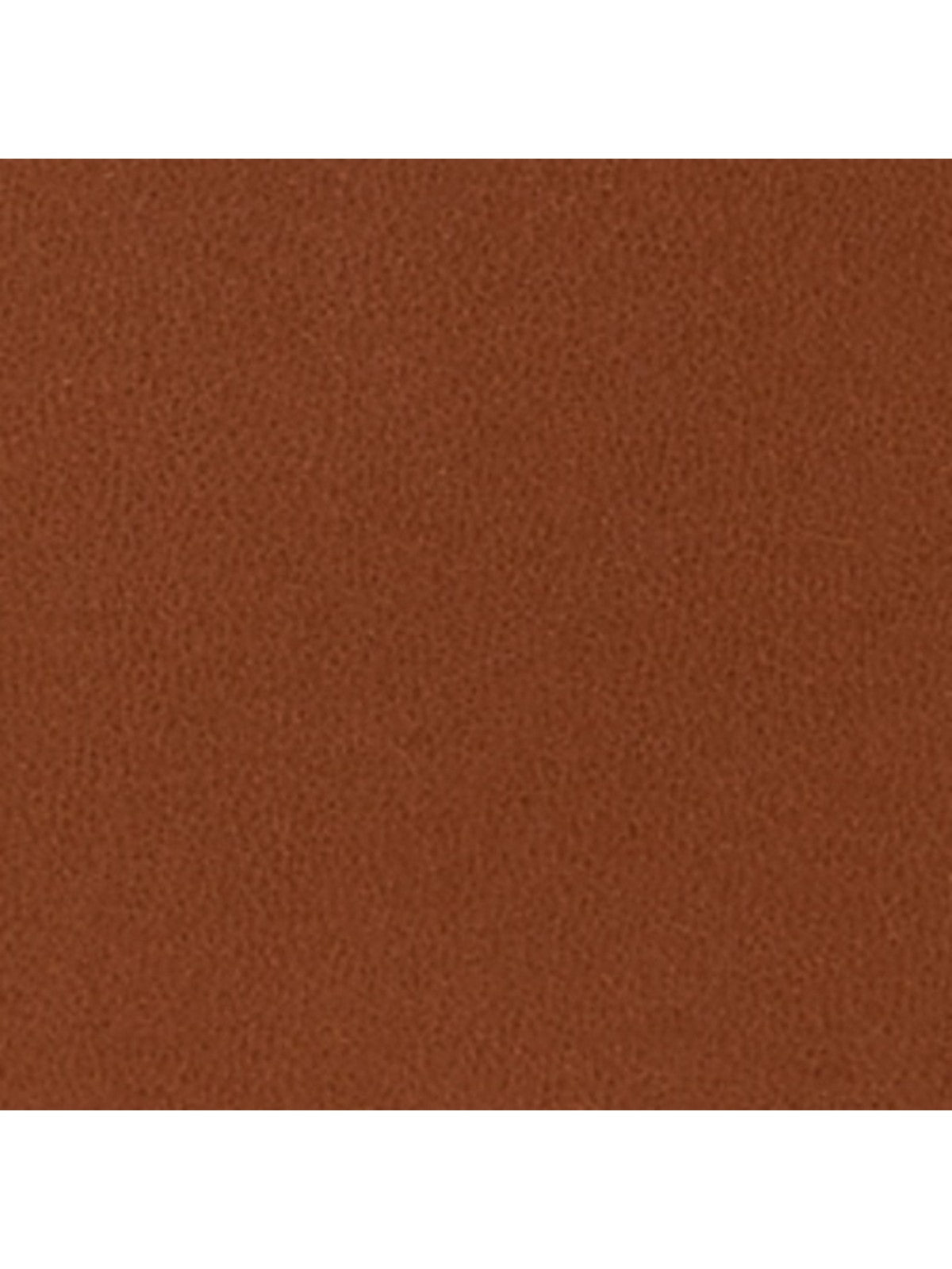 Lauren Ralph Lauren Woman Bag Tanner LG SH-SHOULder Bag-Large 431956790 001 brown