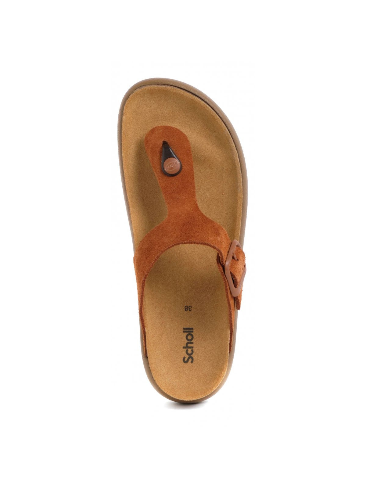 Scholl Flit Donna Anais Chunky F311321170 brown