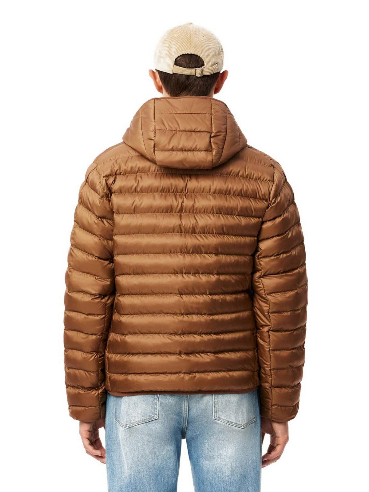 LACOSTE Piumino Uomo BH2909 SIX Marrone gioboutiqueweb