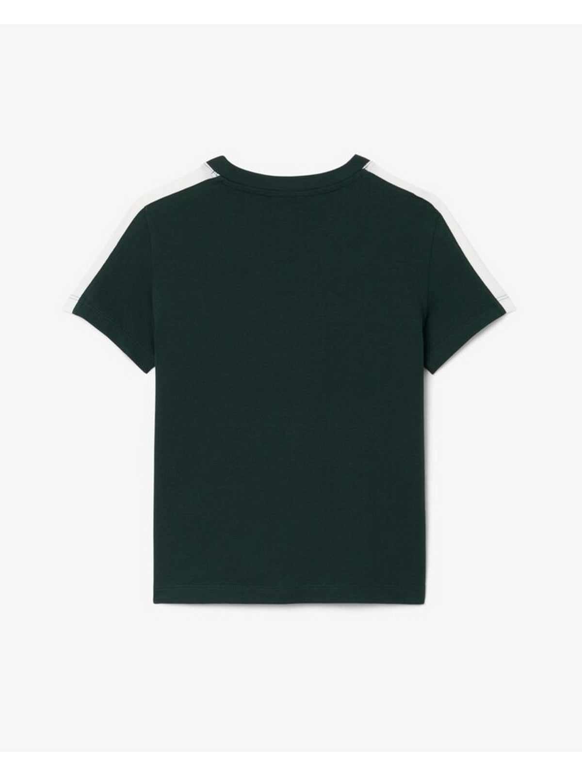 LACOSTE KIDS T-shirt Bambini e ragazzi LCB COLORBLOCK STRIPE TEE Verde - 947774 YZP