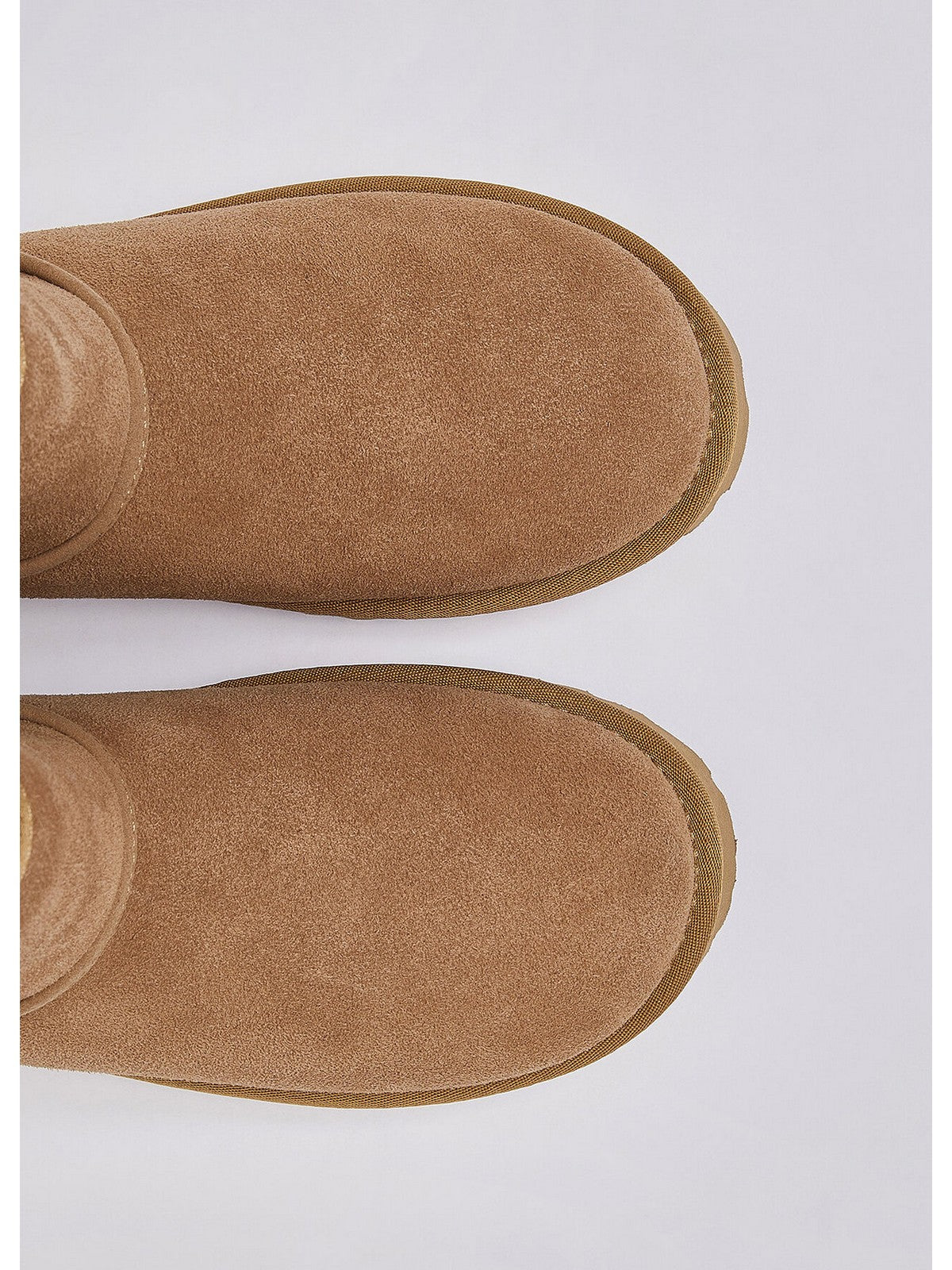 LIU JO Stivali e stivaletti Donna JIL COGNAC - SF6149PX002 00668 gioboutiqueweb