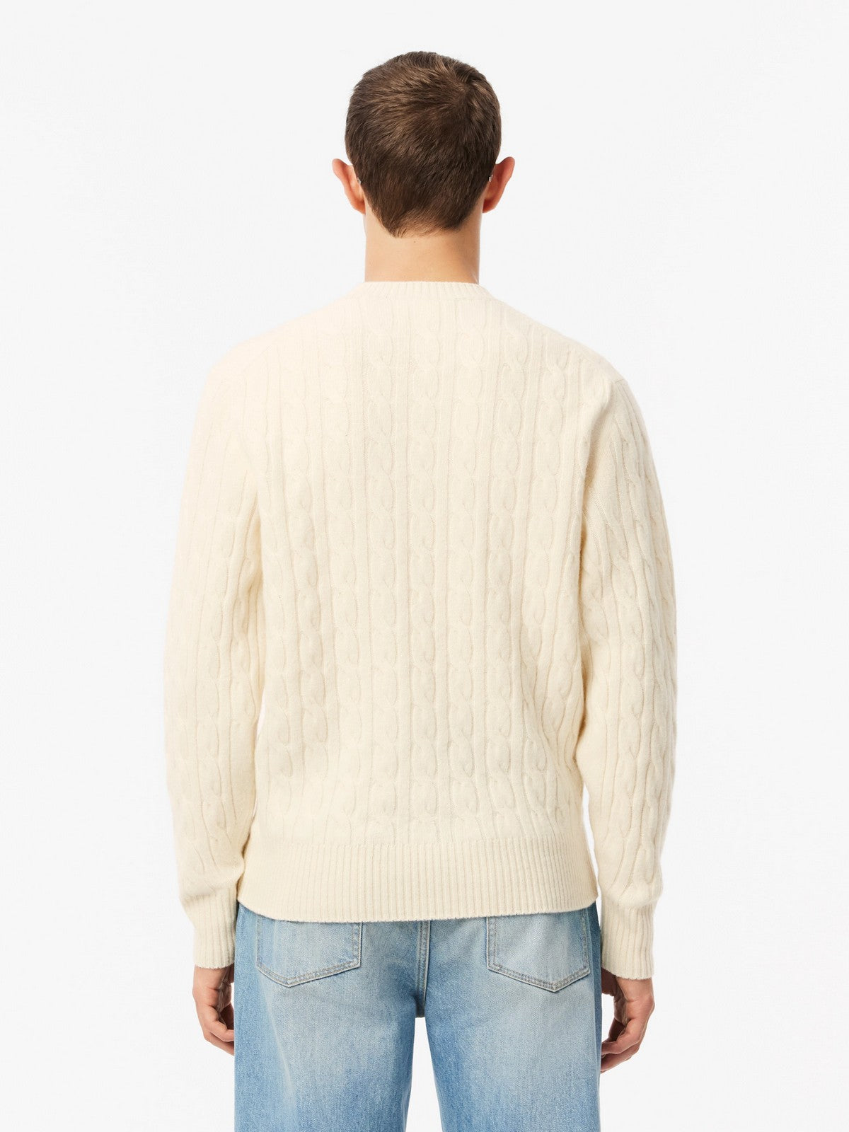 LACOSTE Maglione Uomo AH2924 XFJ Beige gioboutiqueweb
