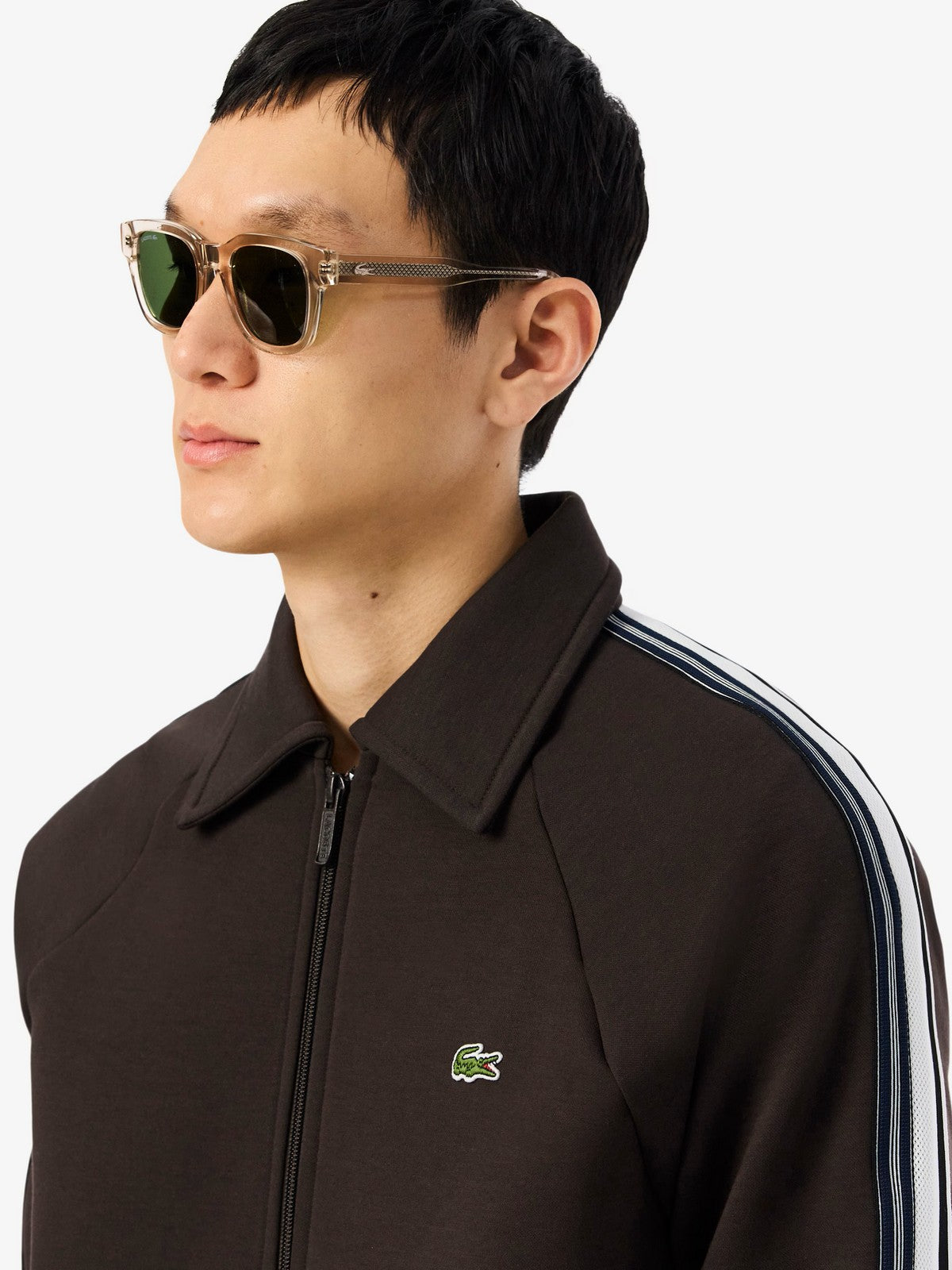 LACOSTE Felpa Uomo SH5927 SKB Marrone gioboutiqueweb