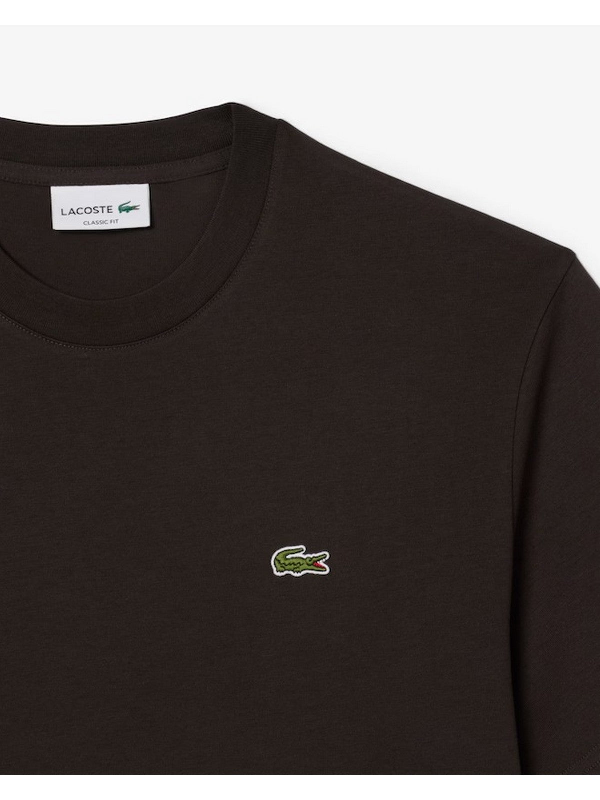 LACOSTE T-shirt Uomo TH7318 SKB Marrone gioboutiqueweb