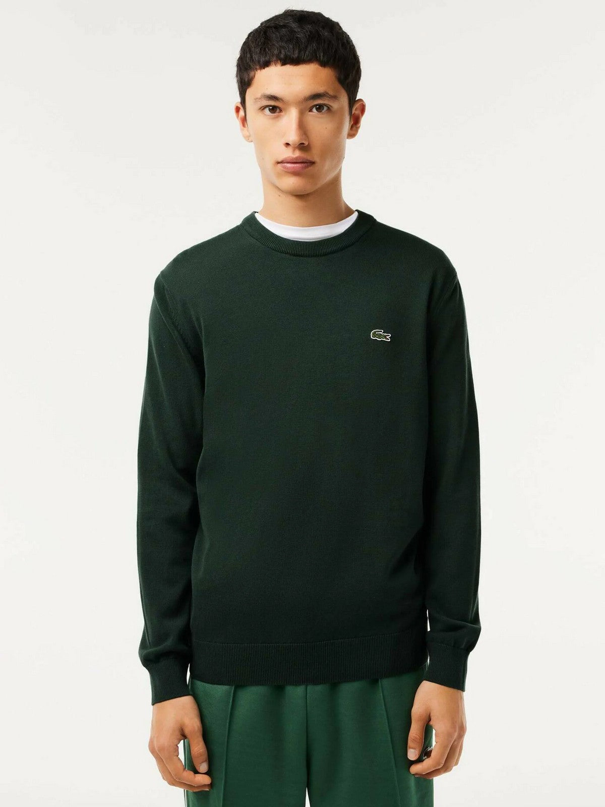 LACOSTE Maglione Uomo AH3225 YZP Verde