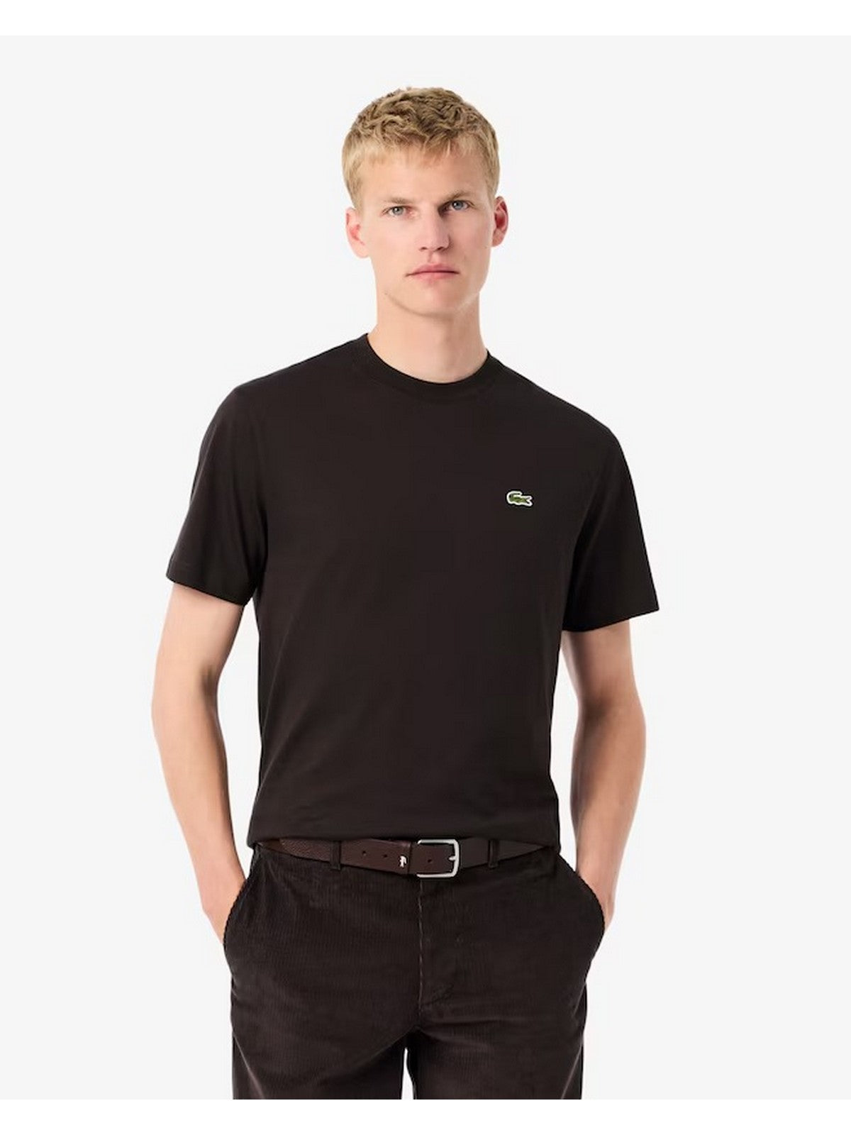 LACOSTE T-shirt Uomo TH7318 SKB Marrone gioboutiqueweb