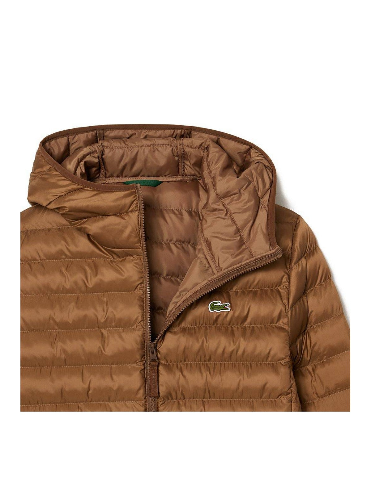 LACOSTE Piumino Uomo BH2909 SIX Marrone gioboutiqueweb