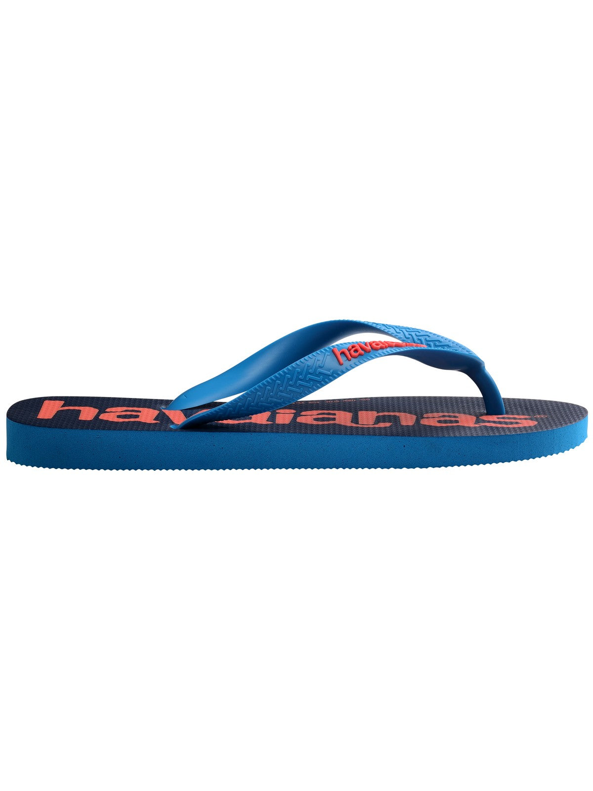 HAVAIANAS Infradito Unisex adulto Hav. Top logomania 2 4145741.0212 Turchese gioboutiqueweb