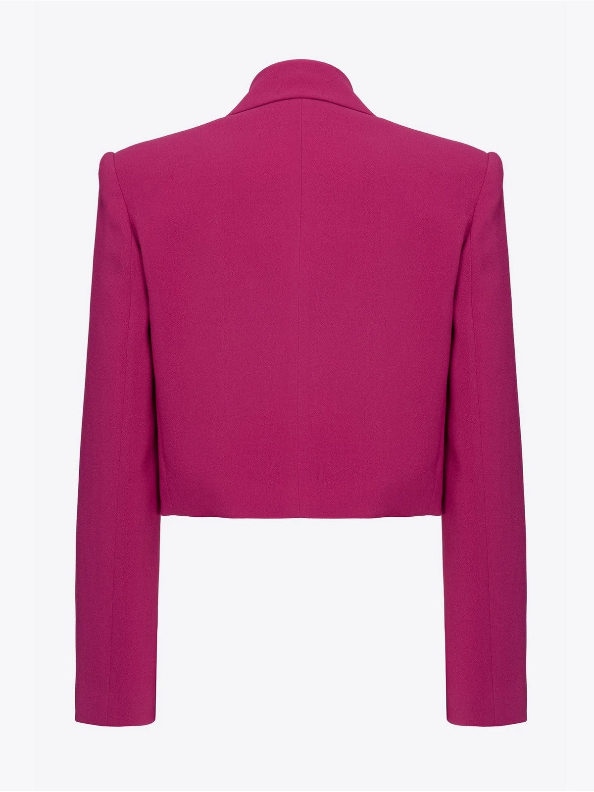 Pinko Frauenjacke 101692-A14i Vib Viola