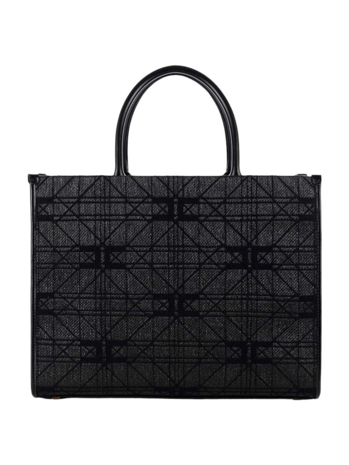 ELISABETTA FRANCHI BS14A41E2 110 Black