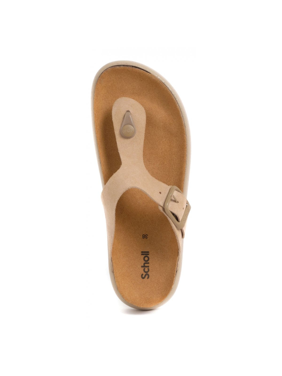 SCHOLL Infradito Donna Anais Chunky F311321002 Beige