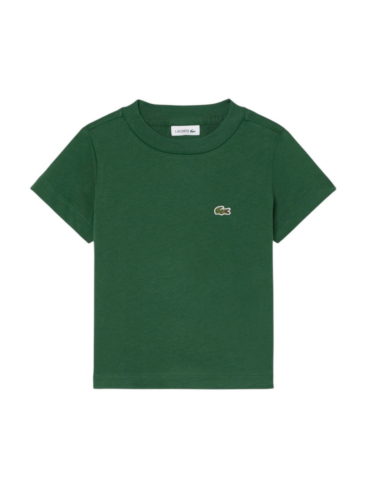 LACOSTE KIDS T-shirt Unisex bambino LCB CORE TEE 847025 F9W Verde