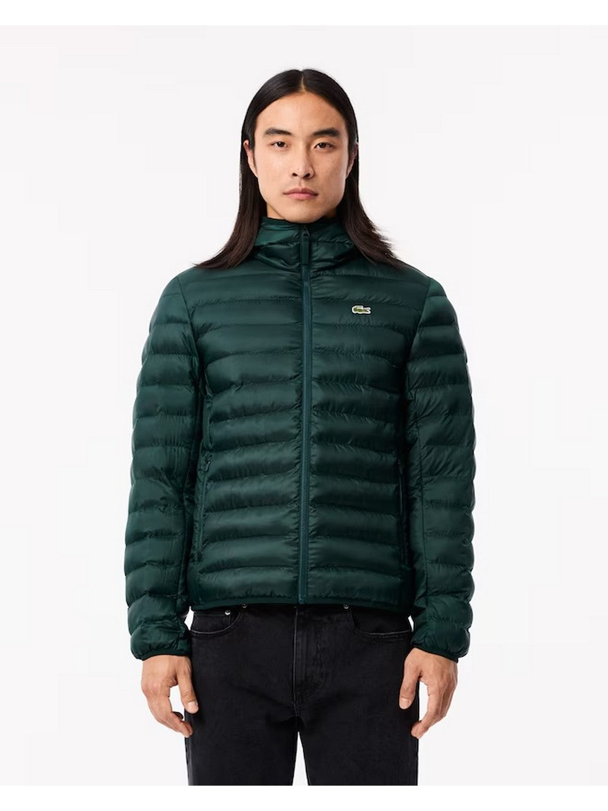 LACOSTE Piumino Uomo  BH2909 YZP Verde gioboutiqueweb