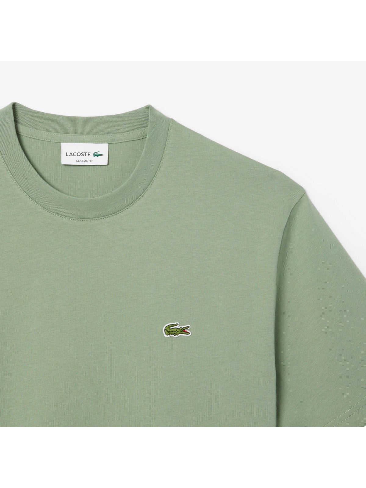 LACOSTE T-shirt Uomo  TH7318 S86 VERDE gioboutiqueweb