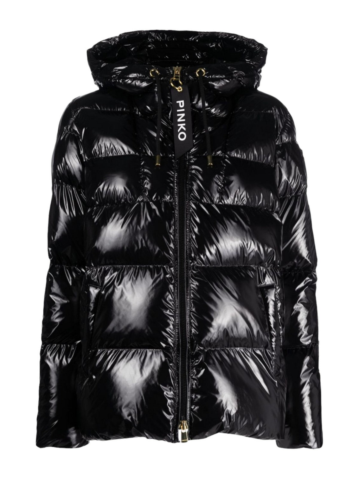 Pinko Women's Down Jacket 101597-A11K Z99 Black