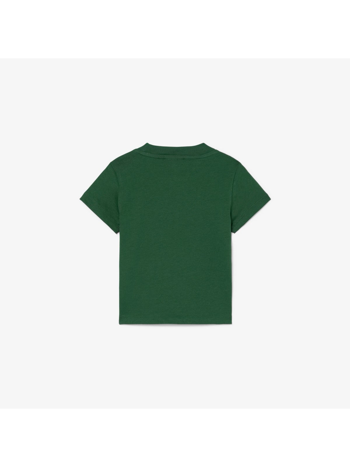 LACOSTE KIDS T-shirt Unisex bambino LCB CORE TEE 847025 F9W Verde