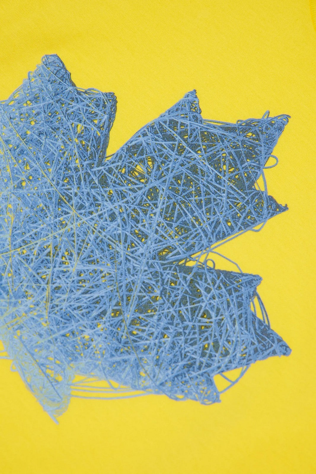 DSQUARED2 KIDS T-shirt Unisex bambino  DQ3176 D00XM DQ220 VIBRANT YELLOW