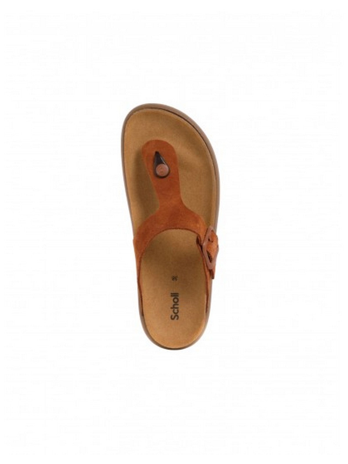 SCHOLL Infradito Donna Anais Chunky Cognac Sde COGNAC - F322531175 gioboutiqueweb