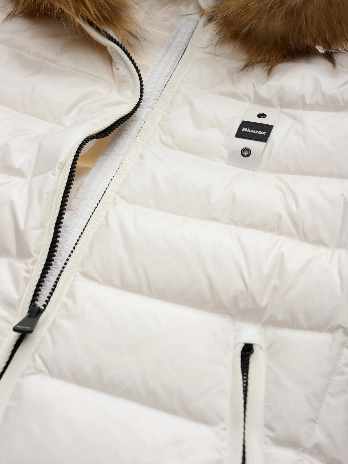 BLAUER Piumino Donna ARCADIA BIANCO OTTICO int. BIANCO OTTICO - 26WBLDC03038 006047 100BI