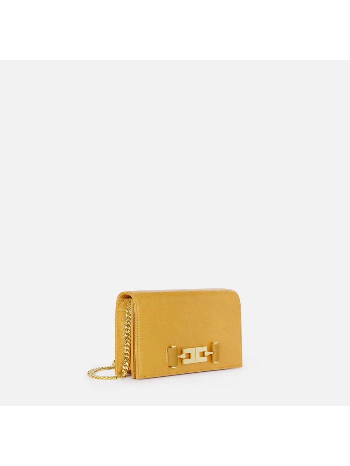 ELISABETTA FRANCHI Borsa Donna AMBRA - BS08A66E2 940