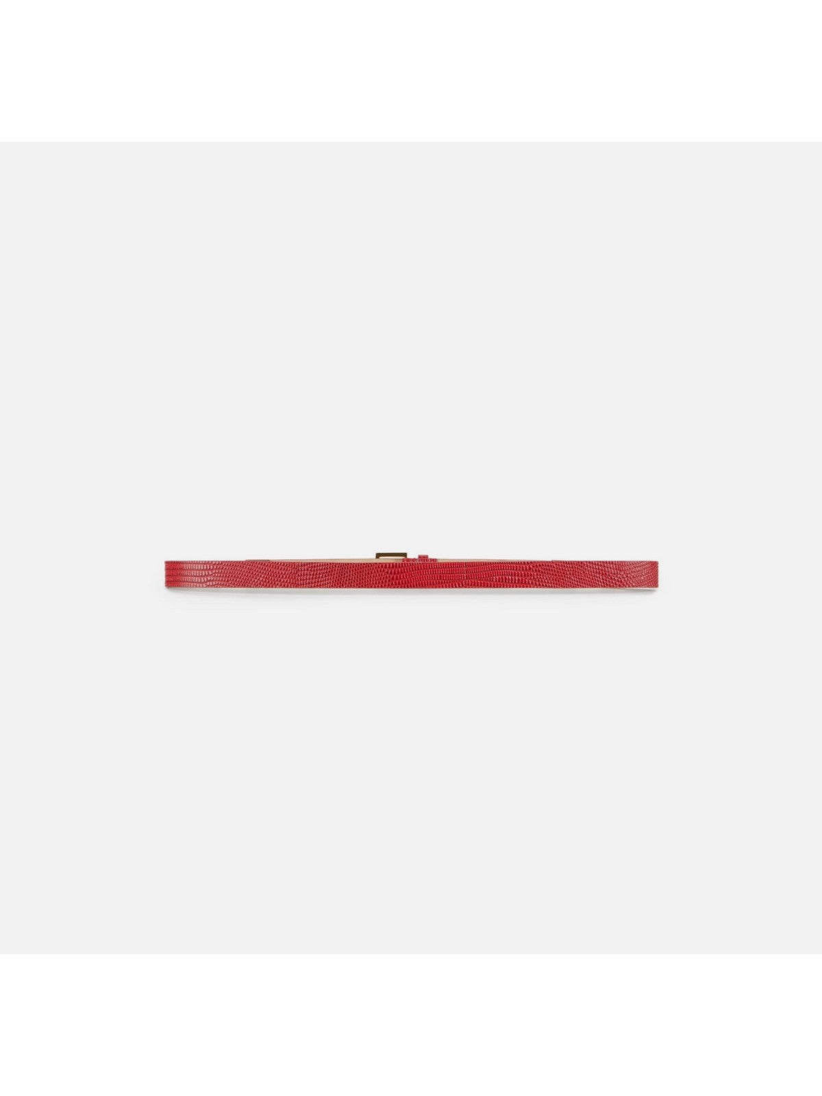 ELISABETTA FRANCHI Cintura Donna RED PASSION- CT54S66E2 CG5