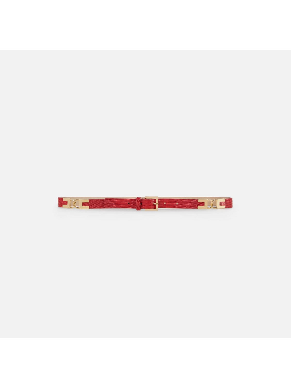 ELISABETTA FRANCHI Cintura Donna RED PASSION- CT54S66E2 CG5