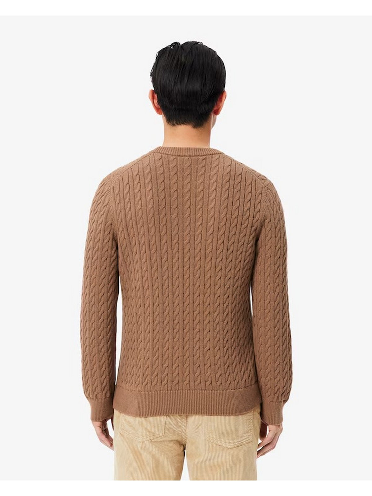 LACOSTE Maglione Uomo Cammello - AH7627 UQW