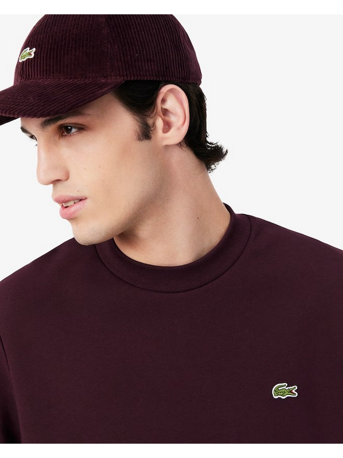 LACOSTE Felpa Uomo Marrone - SH9801 3KE