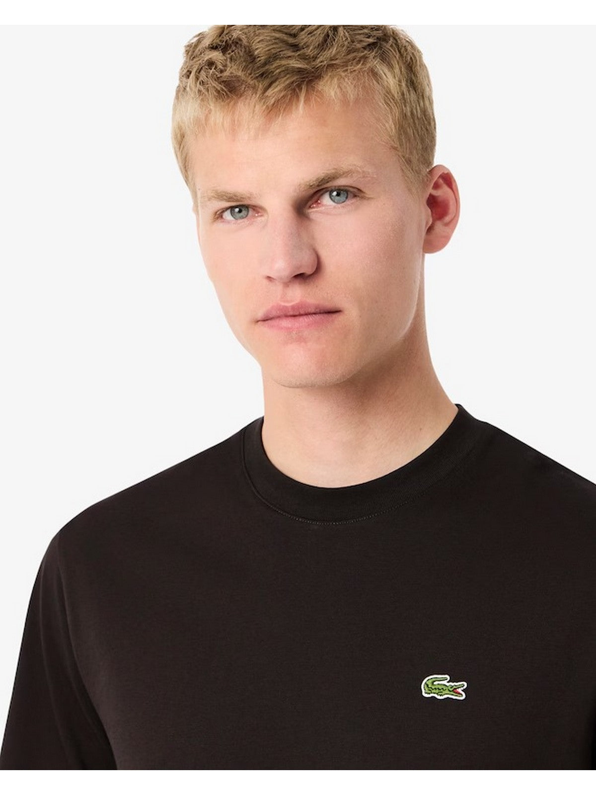 LACOSTE T-shirt Uomo TH7318 SKB Marrone gioboutiqueweb